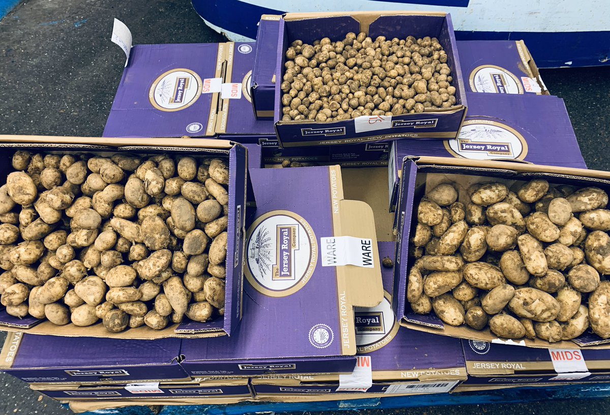 jersey mids potatoes