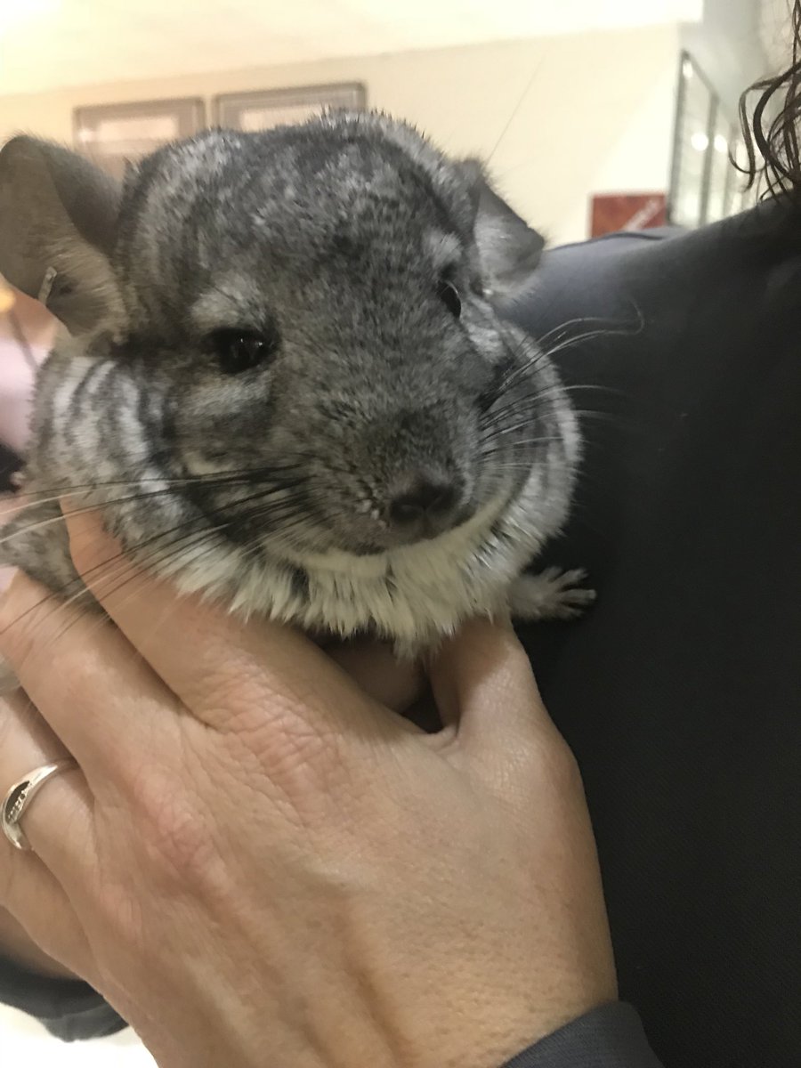 Ms. Hughes welcomes a special visitor to Ridgeland!