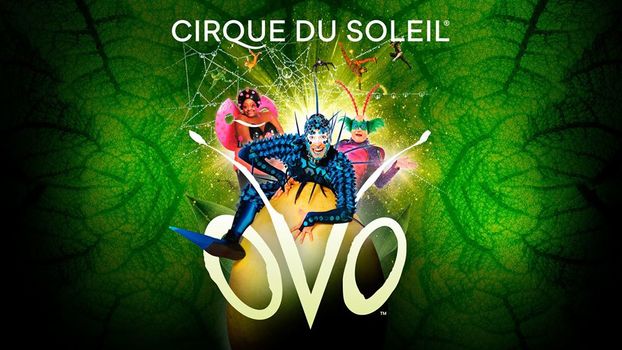 MacKidNPhoenix's tweet photo. @Cirque is a worldwide phenomenon thanks to its creativity, acrobatics, and moving choreography. Check out their latest tour, Ovo, when it makes its way to Talking Stick Arena. This show is inspired by the lives of insects. https://t.co/vytYzwsjfj