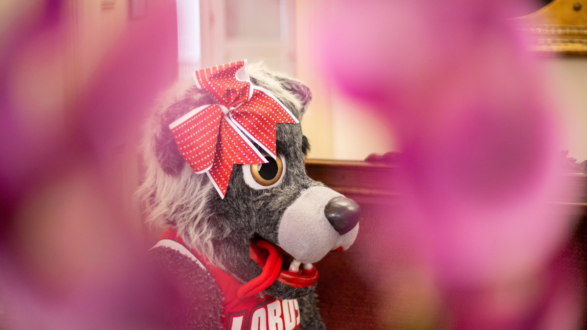 Us: *Stares awkwardly at Lucy*
Lucy: wUt?
Us: aRe YoU gOnNa AsK uS tO bE yOuR gAlEnTiNe?

<a href="/UNMLoboSpirit/">UNM Spirit Program</a> <a href="/UNMLobo_Louie/">Lobo Louie</a> #GalentinesDay
Sign up to try out to be the new Lobo Louie or Lucy here 👉  bit.ly/31R8WgJ