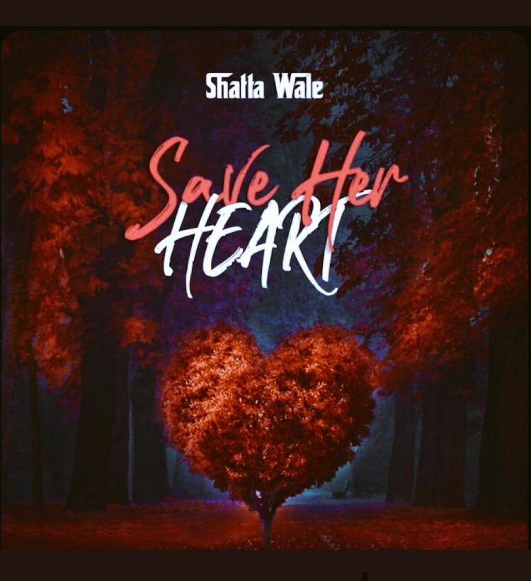 mob_bra's tweet photo. SAVE HER HEART N BUY SOBOLO FOR HER @shattawalegh n @stonebwoyb #smbhim #saynotovgma https://t.co/DzUs38tJ4r