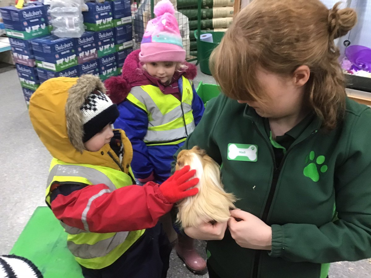 AirthNursery's tweet photo. Next stop Pets at home. Huge thank you to Madi who introduced us to the animals. We loved this long hair guinea pig. We learned that guinea pigs can see colours and can live for 6 years. This one needs her hair brushed ever day. #caringforpets @airthprimary @PetsatHome https://t.co/byV5nPYgjD