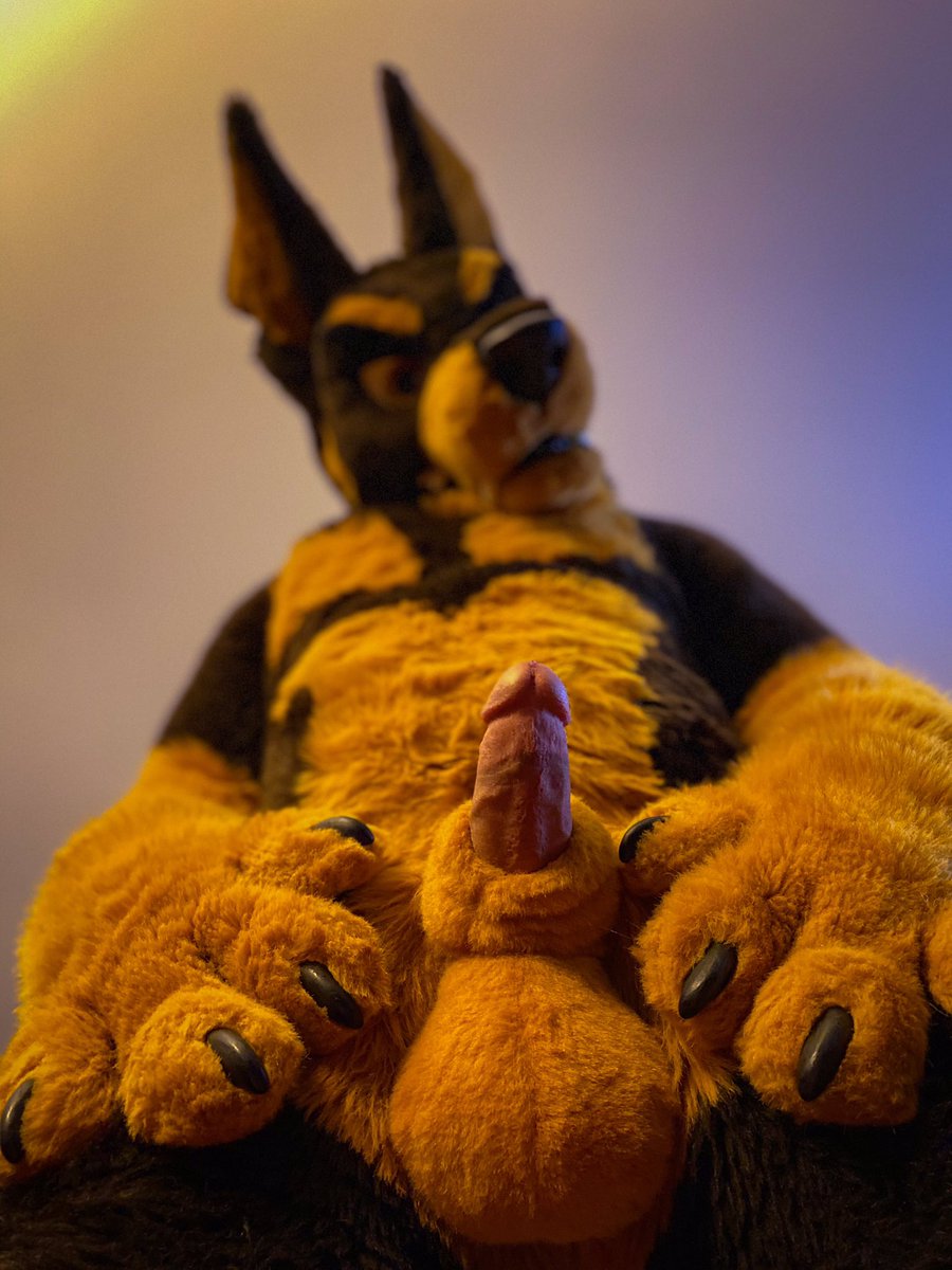 No words, just grrs 🔜FWA, Furwood, K9Campout tweet media