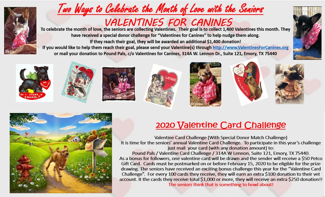 Pound Pals (@poundpals) on Twitter photo 