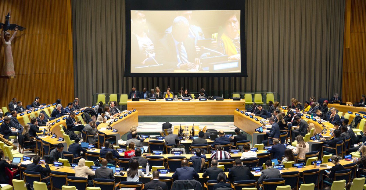 UAEMissionToUN's tweet image. Co-Chairs Ambassadors Nusseibeh &amp;amp; Wronecka @PLinUN begin the first meeting of the Intergovernmental Negotiations on #SCReform of 2020, by underlining the need for renewed commitment to multilateralism and a stronger @UN in the face of new global challenges.