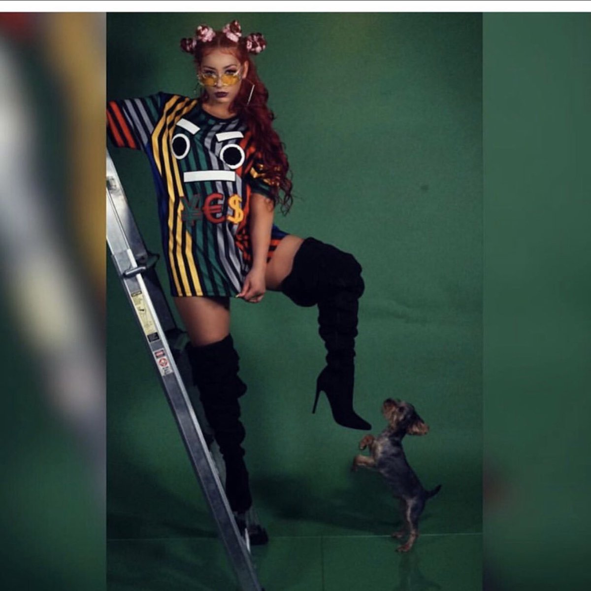 #tbt to chachi Always trying to take the spotlight and always trying to be all up in my pictures💁🏼‍♀️ Italians😏 am I right? 🤣