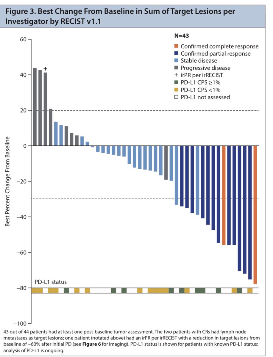 neerajaiims's tweet photo. Very pleased to report exciting  objective responses with Cabozantinib + Atezolizumab in mCRPC with progressive measurable disease, after prior abi and/or enza. 32% ORR, additional 48% SD, clinical benefit in 80% pts. Duration of response ~8 mo. #GU20 @ASCO @montypal @DrChoueiri https://t.co/PsehUHsQbL