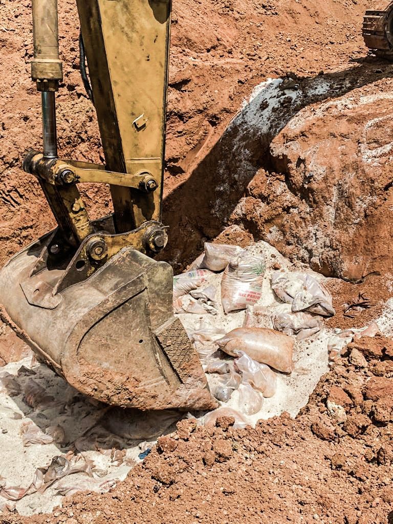agasa_gabon's tweet photo. #Destruction de 27.5 tonnes de riz impropres à la consommation. Importés en 2018, conservés et stockés dans un container insalubre, humide et infecté. Un total de 550 sacs de 50KG de #riz #impropres saisie et détruit par l'AGASA. https://t.co/WIq6e0Zbx1