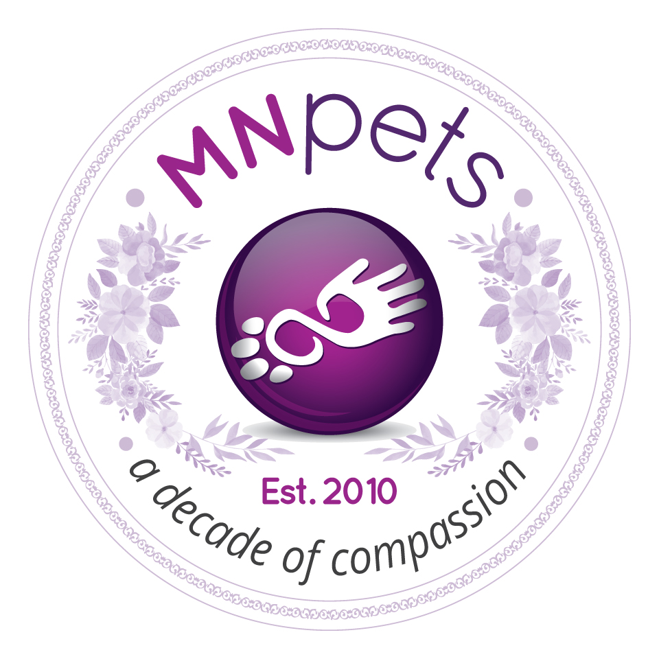 MNpets's tweet image. Thank you for all of the love, trust, and support you all have shown us the past 10 years ♥️