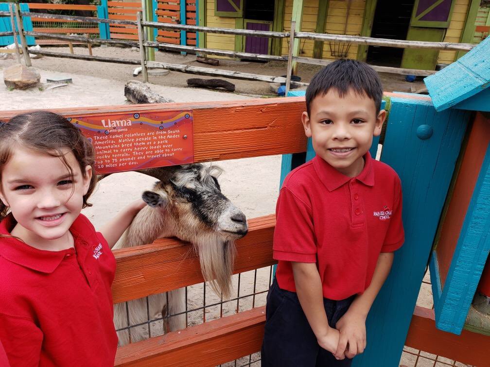 Manateecharter1's tweet image. Learning is WILD! 1st Grade went on a class adventure today to Lowry Park Zoo in Tampa for an educational and exciting field trip. Keep Swimming Forward Manta Rays! #sailAway #gomcs #proudtobeamantaray