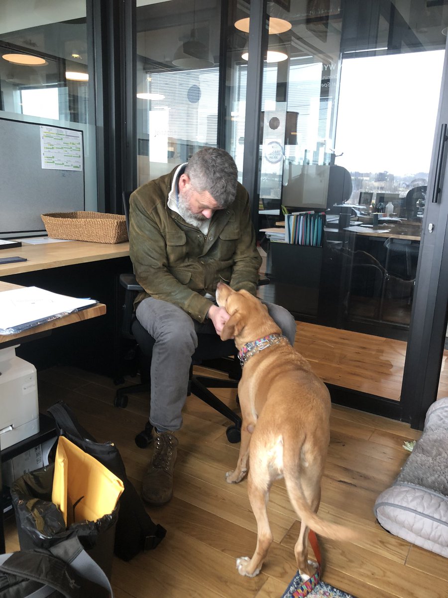 LexiTheLawDog's tweet photo. I like it when dad calls in the A-Team to work on cases https://t.co/0t7l70DDTu
