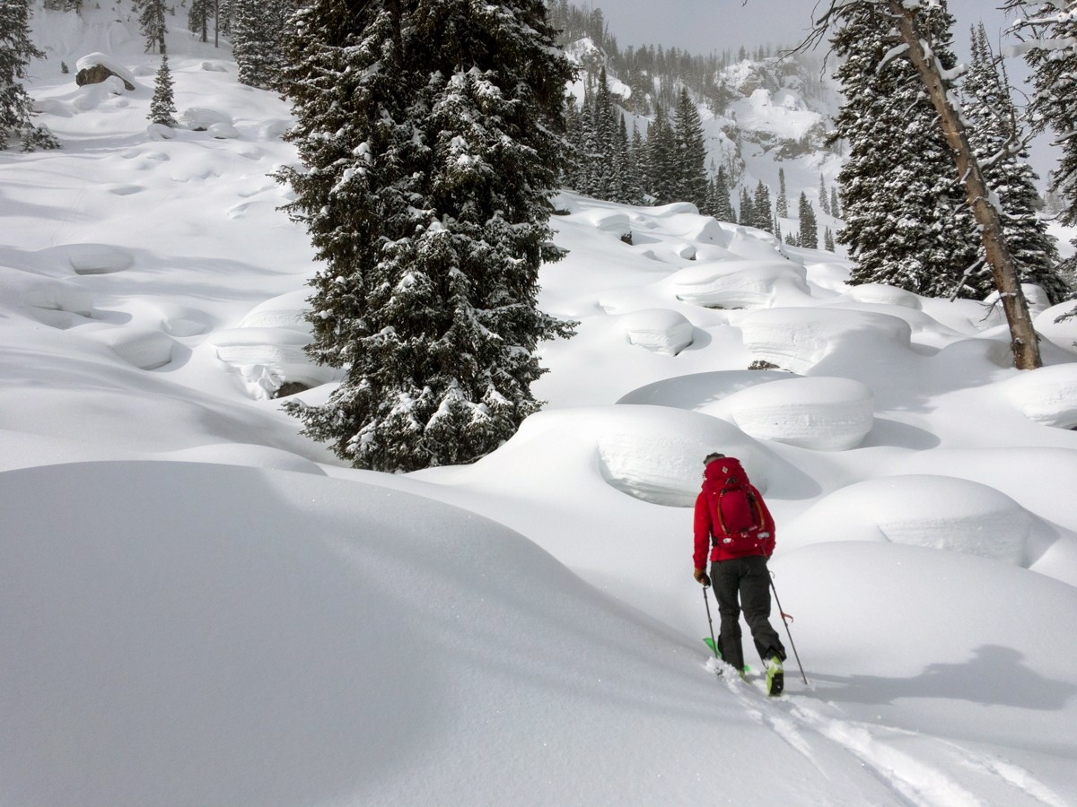 on Twitter "The Best Climbing Skins of 2020 for