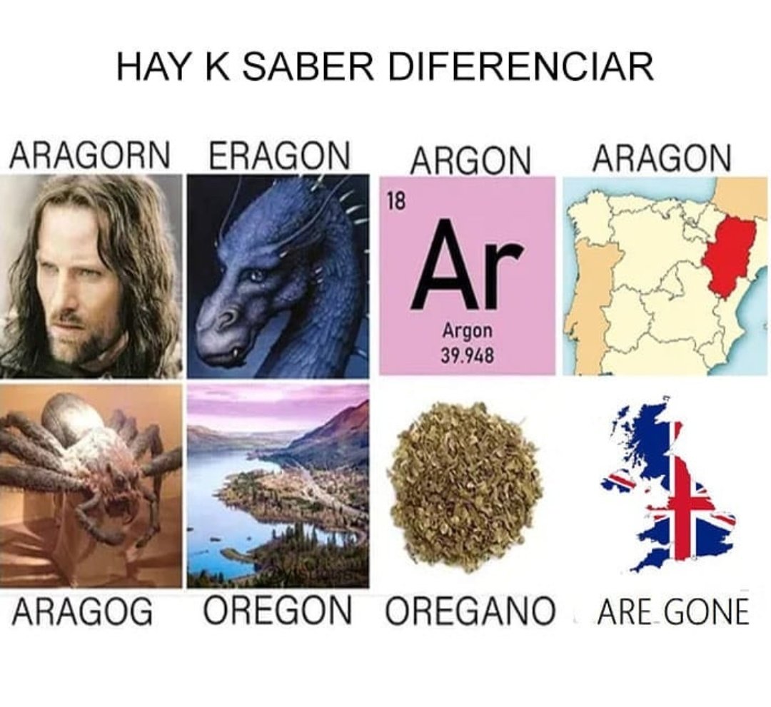 Stll19974b's tweet photo. @paolini "We have to know how to differentiate" 😂😂😂😂 This made my day. https://t.co/Kp6gM6VNjl