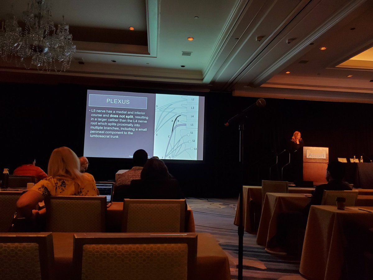 Efficiency goals achieved with the excellent review of the practice-altering nerve root morphology counting method by Dr. Miriam Peckham! #ASSR20 @The_ASSR @Miriam_Peckham