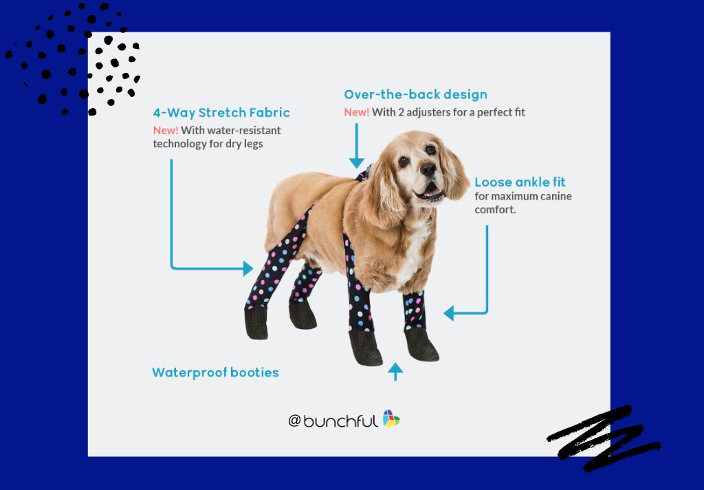 💚💙👨‍🦰 Do you think it's wise to leave Fido off the #ValentinesDay gift list, when you know how much of a #dogdad he is?  It's time to #makeover  your #vday and #giftwhattheylove.  #petparents #dogstagram #bebunchful 
<a href="/danakhumphrey/">danakhumphrey</a> <a href="/walkeepaws/">Walkee Paws</a>