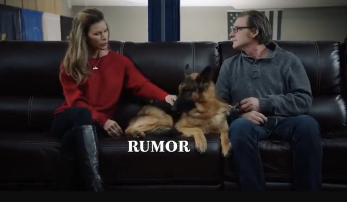 GSDCofAmerica's tweet photo. This is a awesome video! #gsdca #gsd #purebreddogs #servicedogs #purposlybreddogs #germanshepherds https://t.co/7LC5ggCvPf https://t.co/XLjOPUfwMV