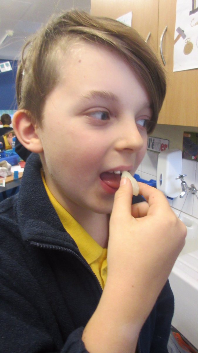 SandwichJunior's tweet image. 6G were extremely excited to taste the Malaysian fruit -rambutan - today, with mostly positive reviews.#MulticulturalWeek