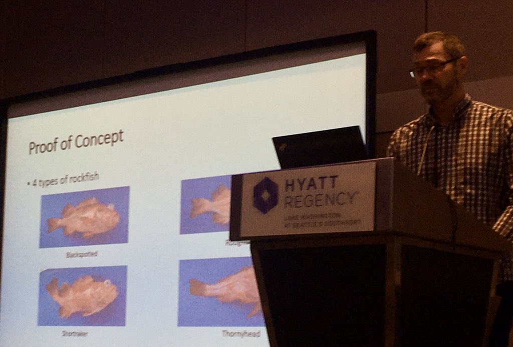 chmcguire's tweet image. Farron Wallace @NOAAFisheries shows example where #AI looks promising to differentiate 4 rockfish species that people struggle to ID #EM4Fish