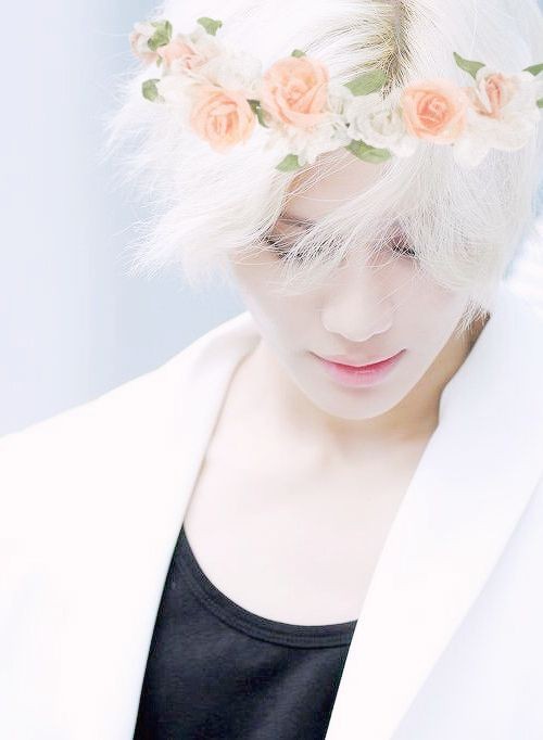 A look on Lee Taemin's love affairs with flowers."Flowers are the music on the ground. From the earth's lips spoken without sound."~ Edwin Curran ~A thread of Taemin and the flowers he held.