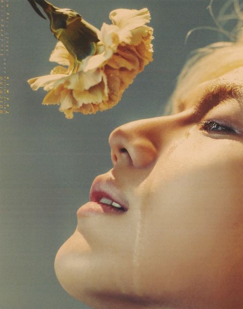 Taemin and roses, perfect combination