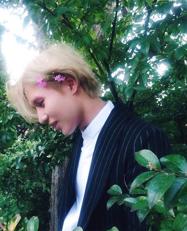Taemin and roses, perfect combination