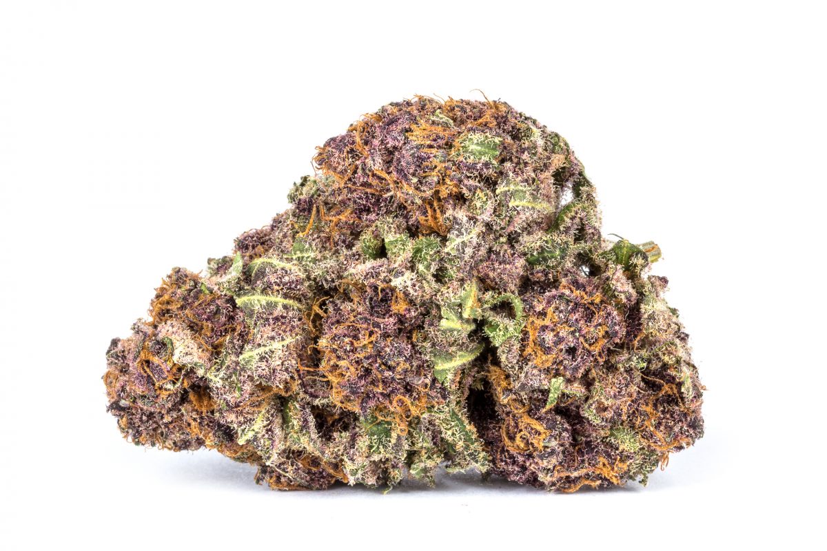 Momreview420's tweet photo. @tommychong Anyone need prices for edibles or #cannabis from Canadian MoMs? Follow us🚬💕

We do comparisons and found the lowest prices for:
Mary's gummies
Sweet Jane's Oreos
Twisted Extracts Cara-Melts- and more!

If you see a lower price, let us know! We'll try out the MoM for quality! https://t.co/aMcbN8HRRT