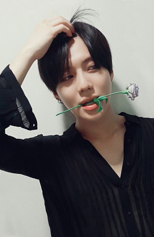 Nothing can be more sexier than seeing Taemin holding a flower between his lips. 
