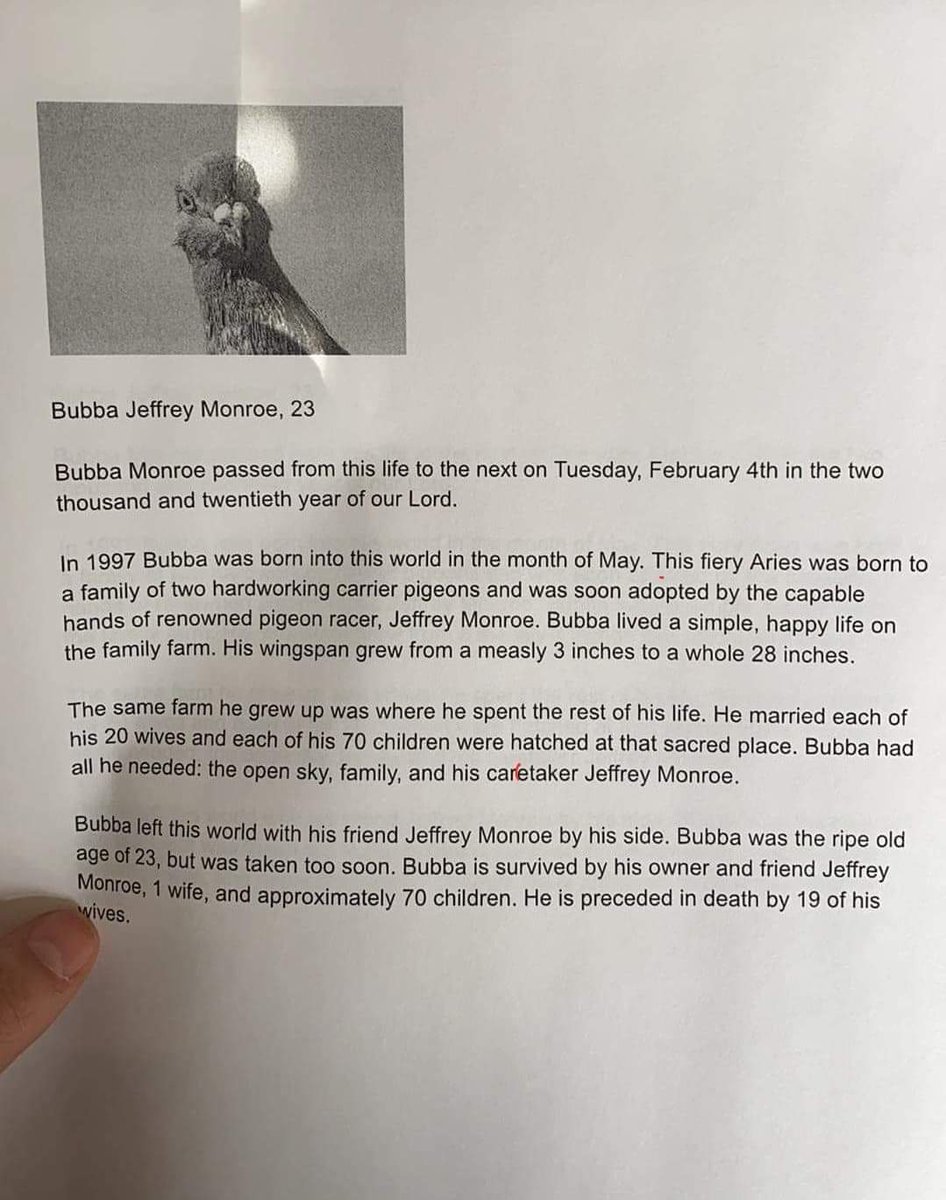 ShtSDCapitolSys's tweet photo. I encourage you to visit time marker 1:30:00 to relive the very touching moment when Senator Jeff Monroe honored his beloved pigeon Bubba. #RIPBubba #YouWereAGoodBird #MomentOfSilence https://t.co/iAf686ds2D https://t.co/rwjRDf6fRD