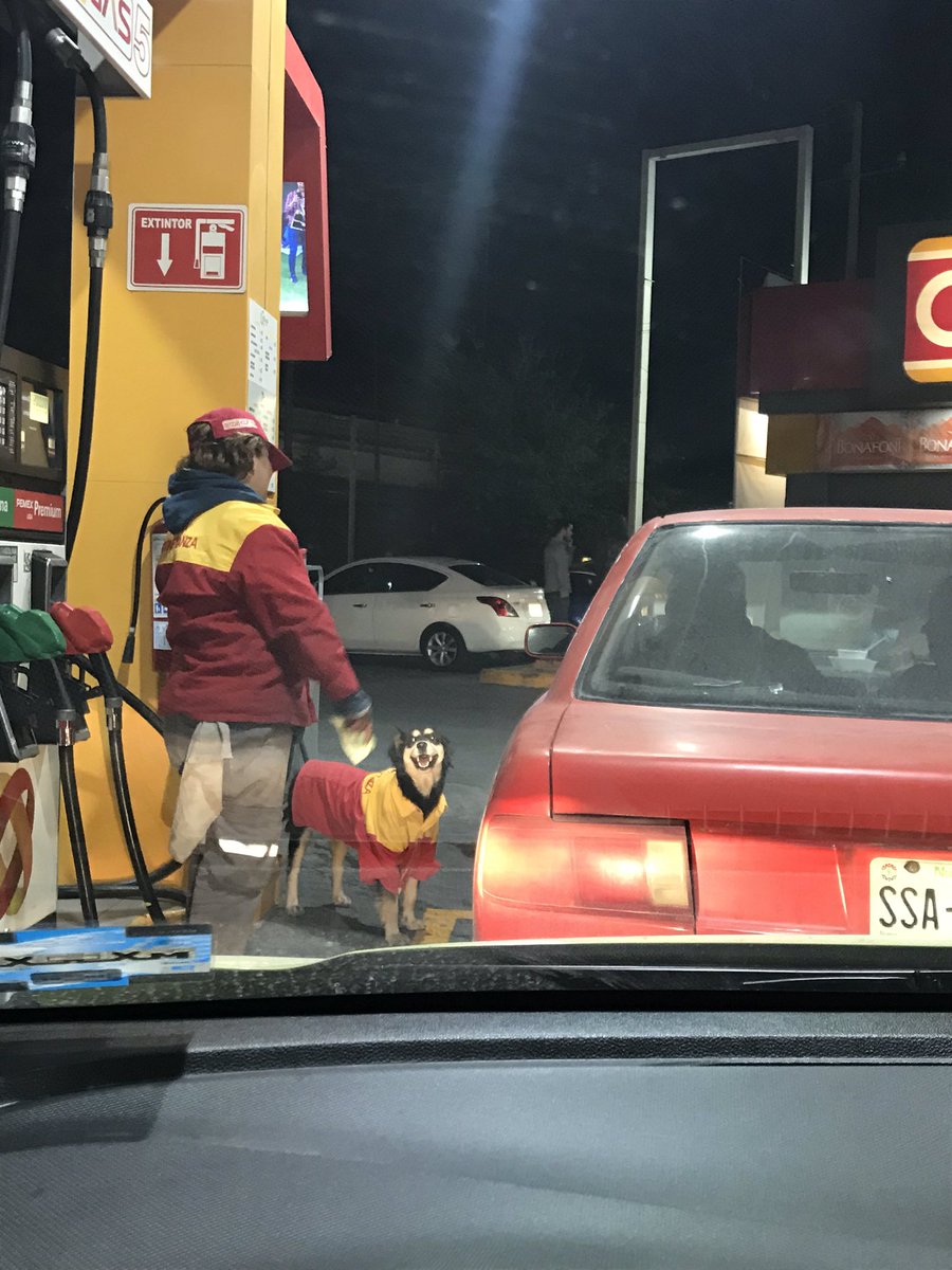 lizethcabello's tweet image. Algún aditivo joven?