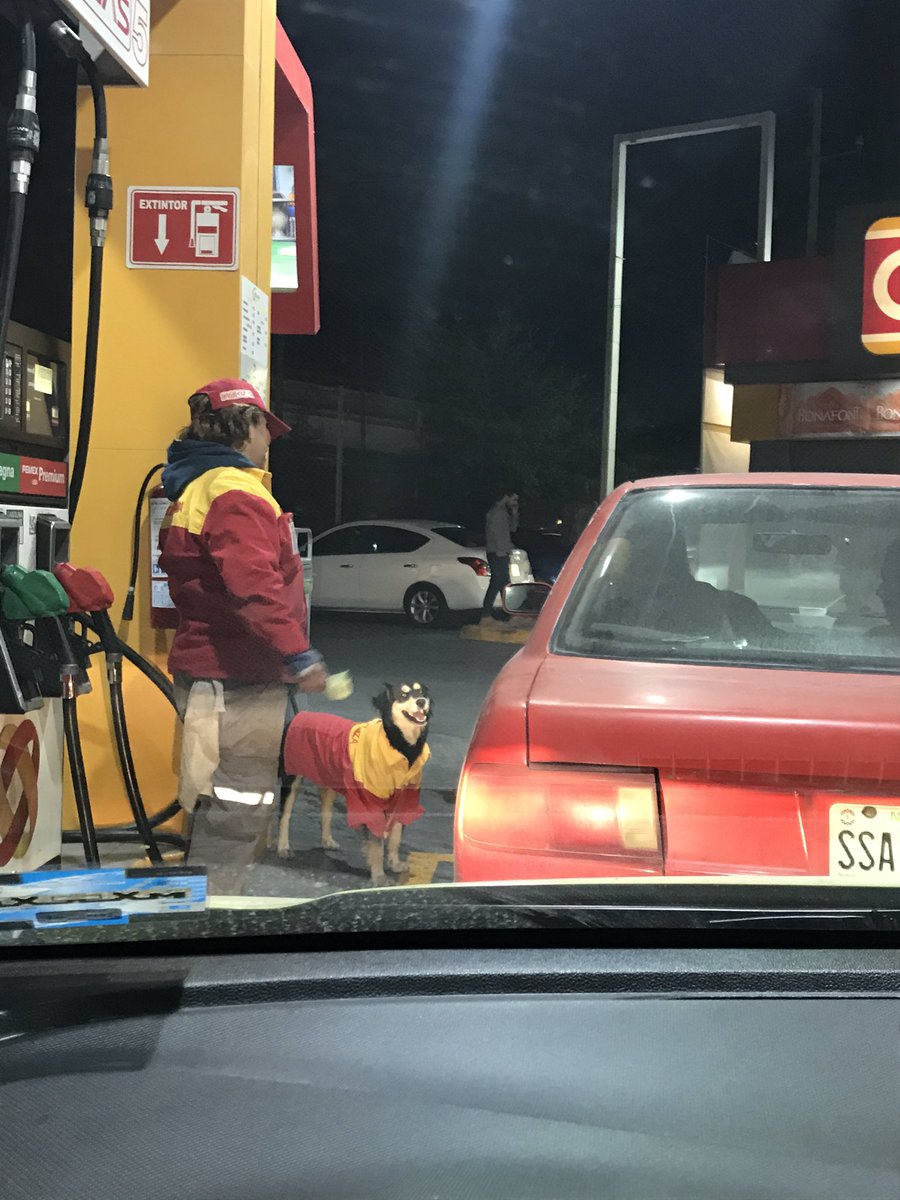 lizethcabello's tweet image. Algún aditivo joven?