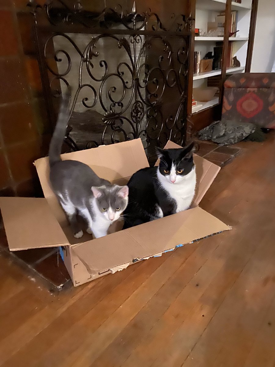 BMeowfield's tweet photo. @shannon_crane Must be nice...all we have is an empty damn box. #nottheonepercent https://t.co/kVBySarWsg