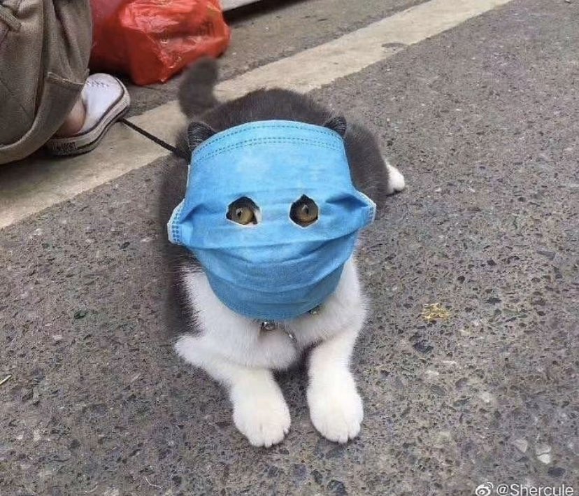 มึงว่าทาสรักกูมากป่ะ