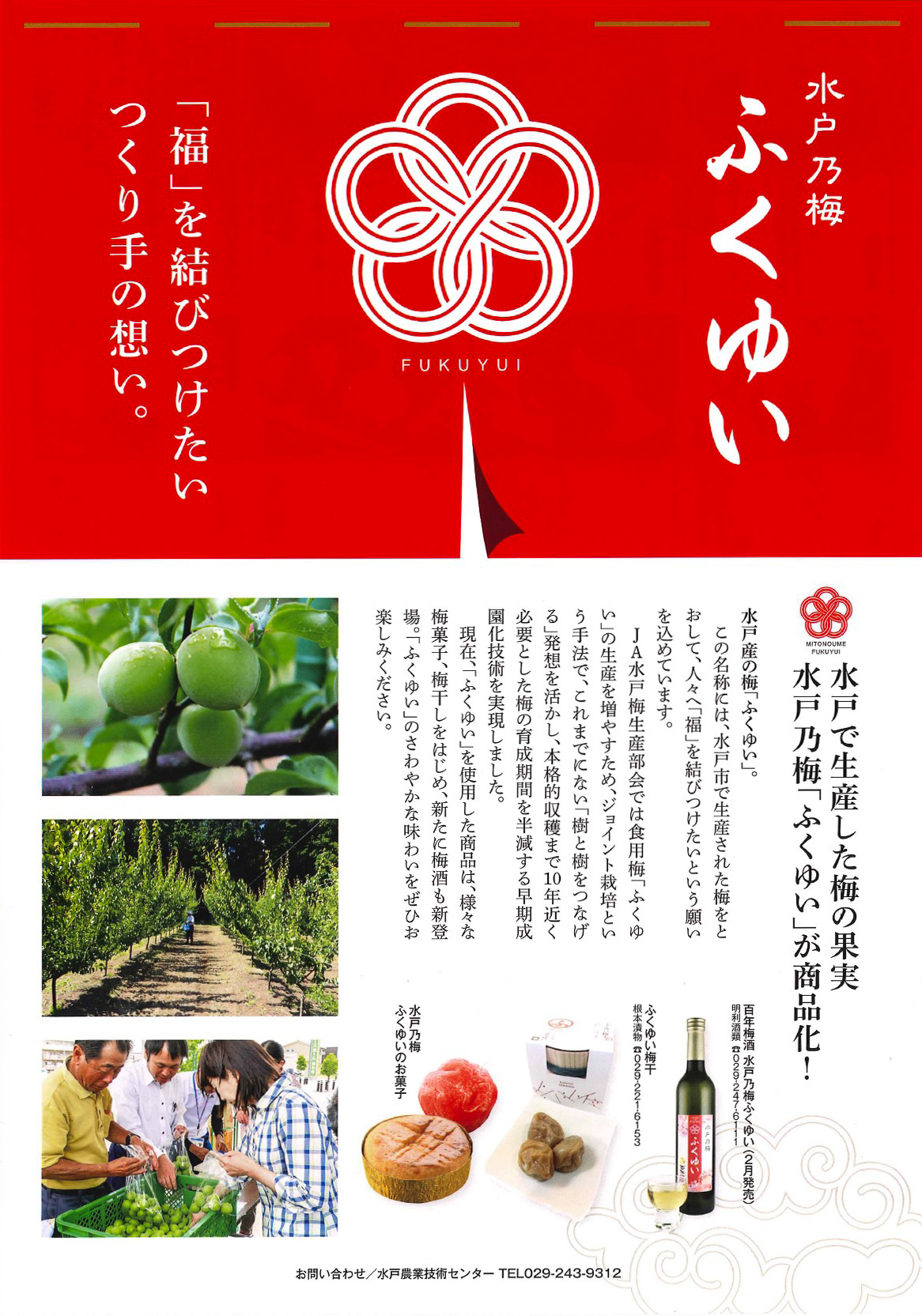 水戸市 水戸の梅まつり 開催に合わせ 水戸産の梅 ふくゆい を使ったお菓子や梅干し 梅酒などを販売します ぜひご賞味ください 期間 2月15日 土 3月中旬 場所 偕楽園本園 ふくゆい 特設ブース 3月6日 金 8日 日 は 全国梅酒