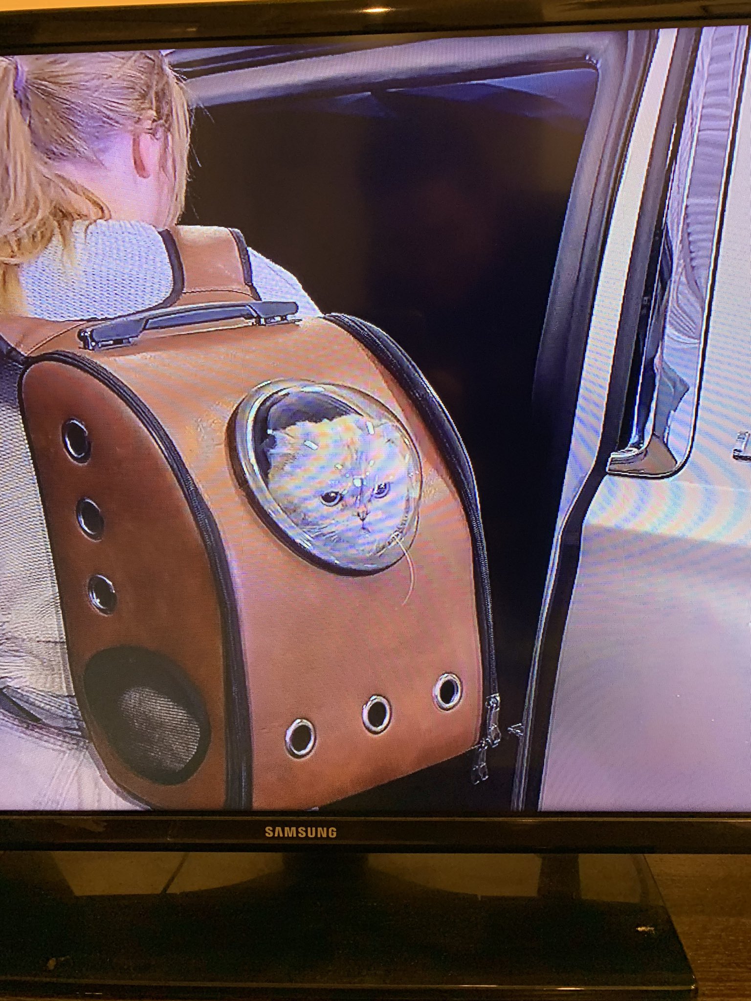 Liz Essley Whyte on X: Hands down best part of the Taylor Swift  documentary on Netflix is this cat backpack  / X