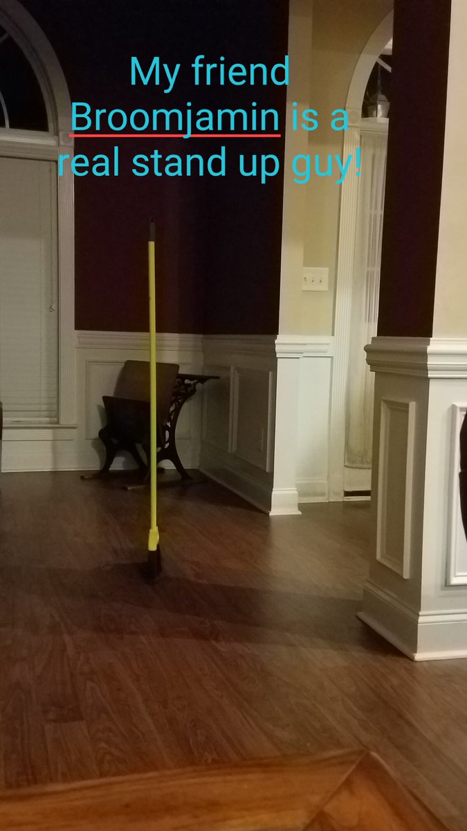 taylorfarnsie's tweet photo. So my mom is still having way too much fun with the broom challenge https://t.co/Iw8S4kw1Yu
