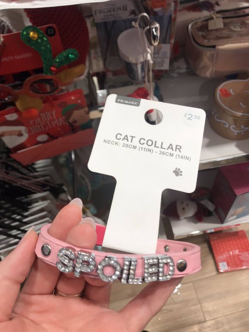 @PViking95 Maybe this will make you laugh? I found a &lsquo;cat&rsquo; collar 😅 I am kitten 😈 https://t.co/g0Qu0<a class="tags" target="_blank" title="On Twitter" href="/?out=eyJ0eXAiOiJKV1QiLCJhbGciOiJIUzUxMiJ9.eyJpYXQiOjE3MjQ5NDY2MTcsImlzcyI6InR3cG9ybnN0YXJzLmNvbSIsIm5iZiI6MTcyNDk0NjYxNywiZXhwIjoxNzU2NDgyNjE3LCJyZWRpcmVjdF91cmwiOiJodHRwczovL3R3aXR0ZXIuY29tL1BWaWtpbmc5NSJ9.kba13Rr6UMr0i6M9gaci2c2XztQmJdOzutYEqCQVhT6ixA_DYiS-2QAN0FLPON1MDIozTi6fP4_zhcdJ18WeLw">@PViking95</a><a href="/tag/stayhomesavelives"class="tags"><span>#stayhomesavelives</span></a>