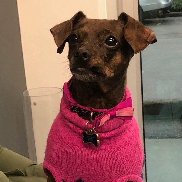 universal_ns's tweet image. @universalprintingltd has a visitor today !! Little Hazel 💕with her valentine outfit !!! Happy valentine everyone ❤️ ift.tt/39C3dy5