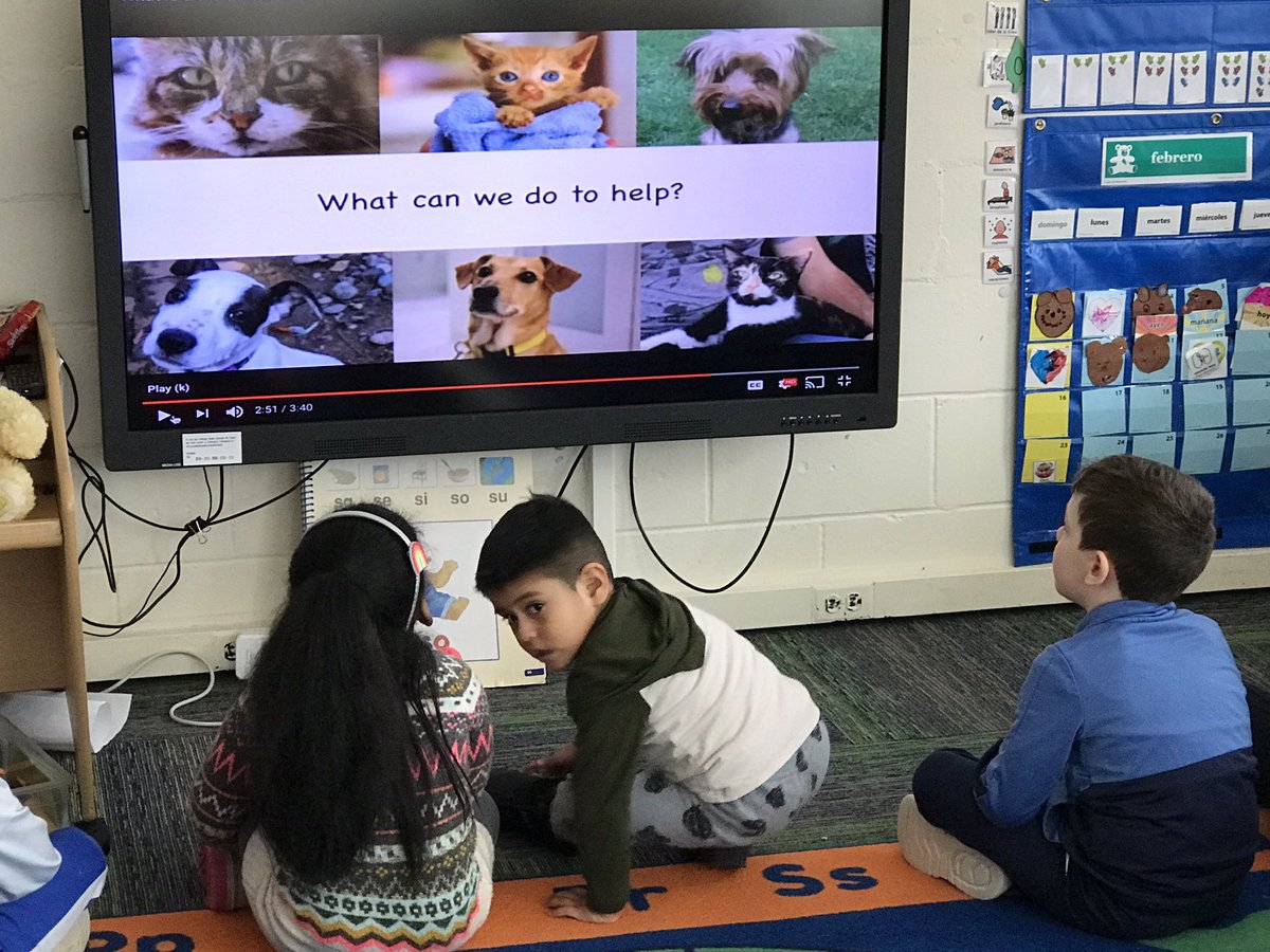 scmejia2's tweet photo. Learning the importance of caring about shelter animals. The children were so excited to make chew toys for the animals!Thank you to the parents who kindly donated and also to rooms parents who helped out the children with this amazing experience! #GBiskind #112leads https://t.co/ffYkhXWxfC