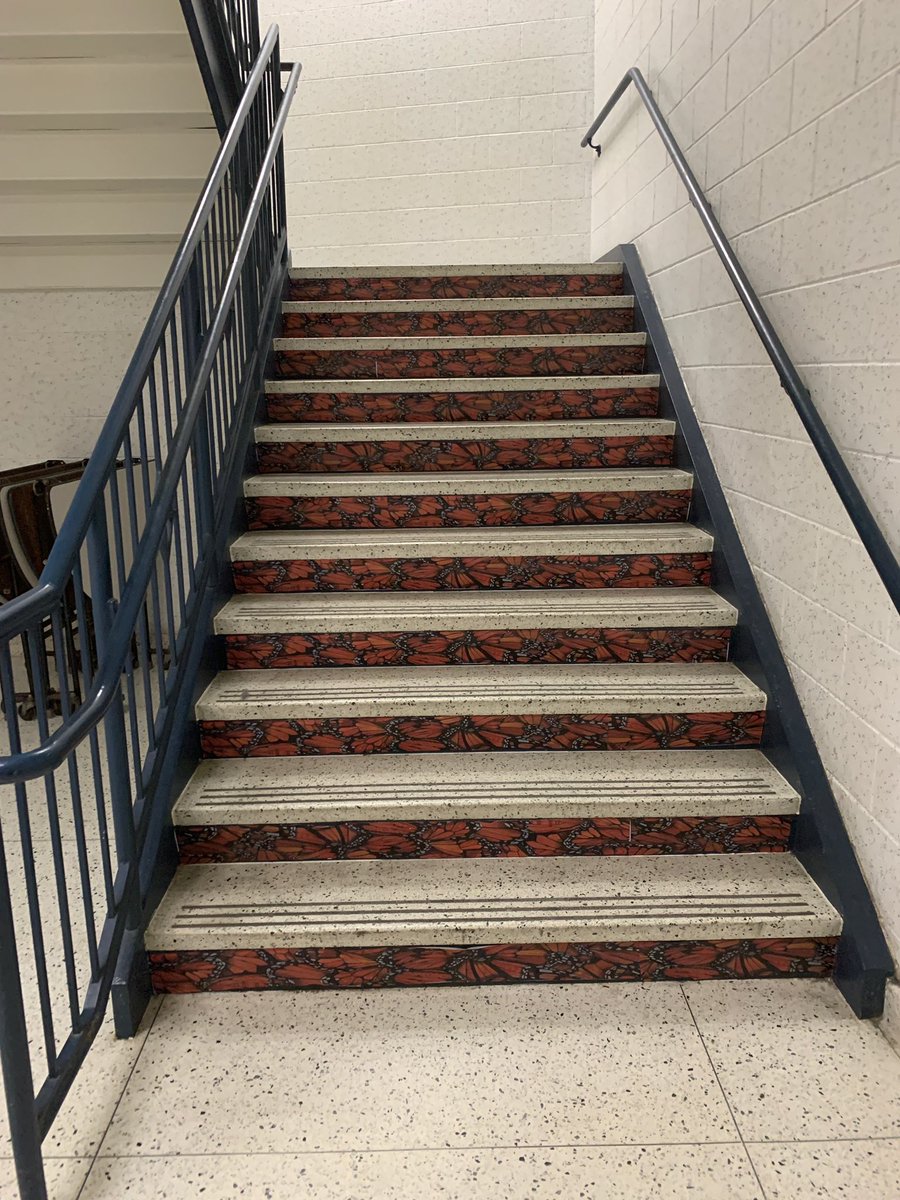 Jonathan Strout tweet media