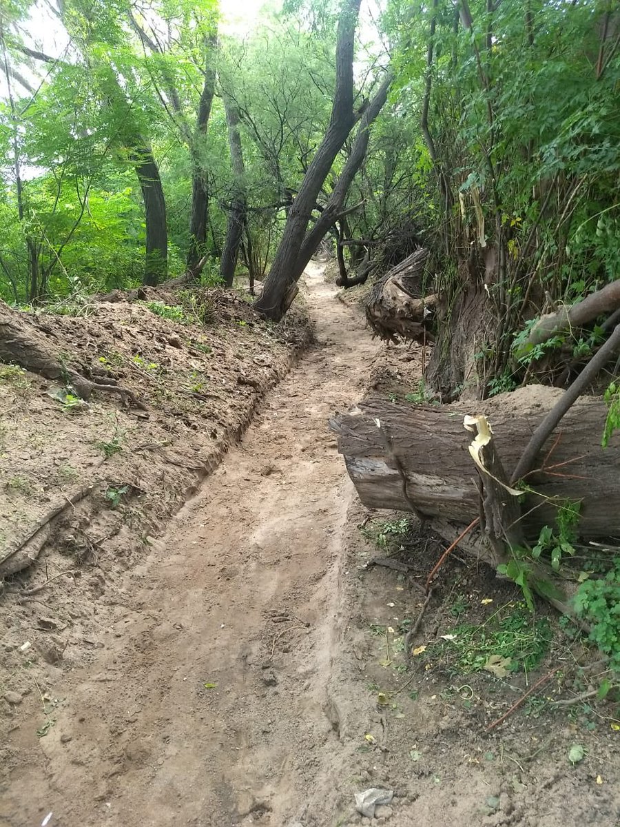 GPlencovich's tweet photo. Continuamos realizando tareas de mantenimiento en los canales de riego. Zona Chañaritos, dpto Cruz del Eje. @ObrasMinSP @MinSPcba @APRHI_CBA https://t.co/0kmjNp8hIa