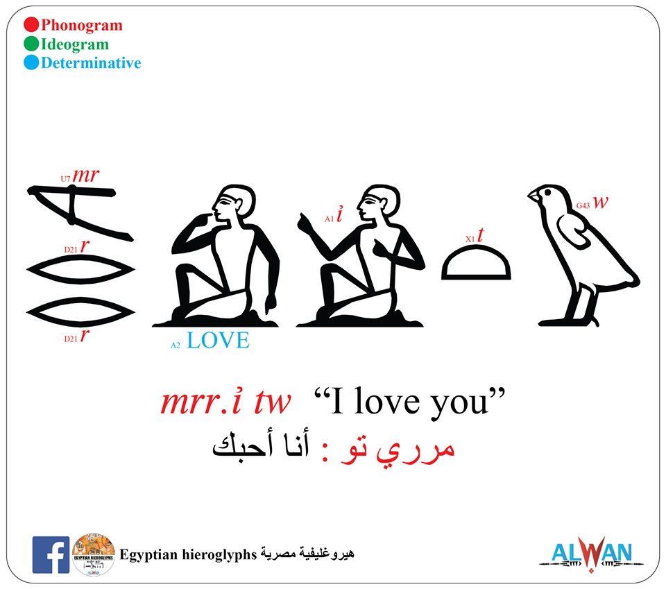 Egyptian hieroglyphs - 02 mrr.i tw “I love you”