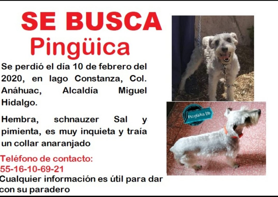 lluvia915's tweet photo. @CuadranteME https://t.co/7CevFTPjPQ