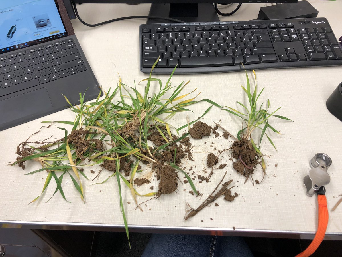 Southern FS Agronomy tweet media