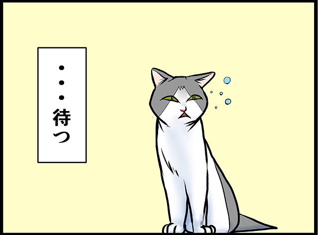 猫パンチTVで毎週木曜日4コマ(8コマ)漫画更新中。
https://t.co/Iv5qNWU028 
https://t.co/hJ1DBZ3ij1 
ネコぐらし
https://t.co/udflkT16MC
 #ネコまんが #WEB漫画 