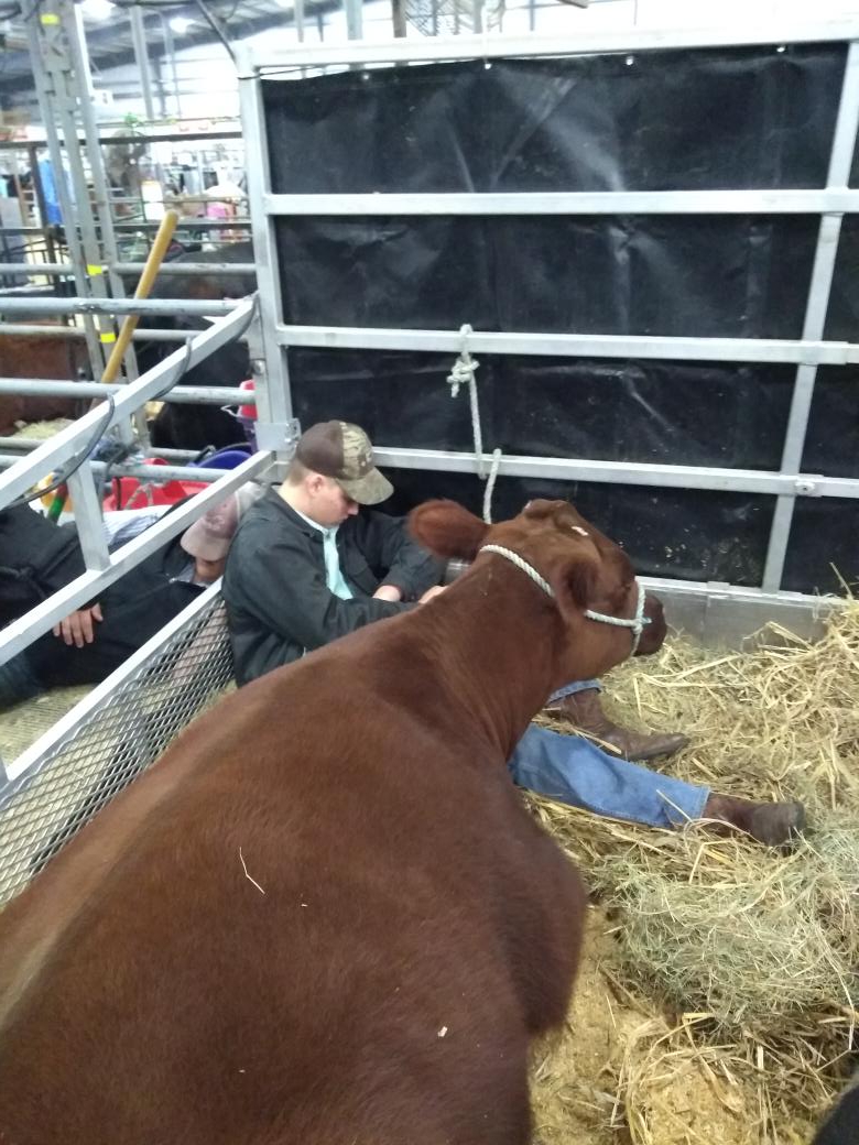 Several days of shows calls for several minutes/hours of rest!💤 We are proud of the hard work all of our students have done!!✨