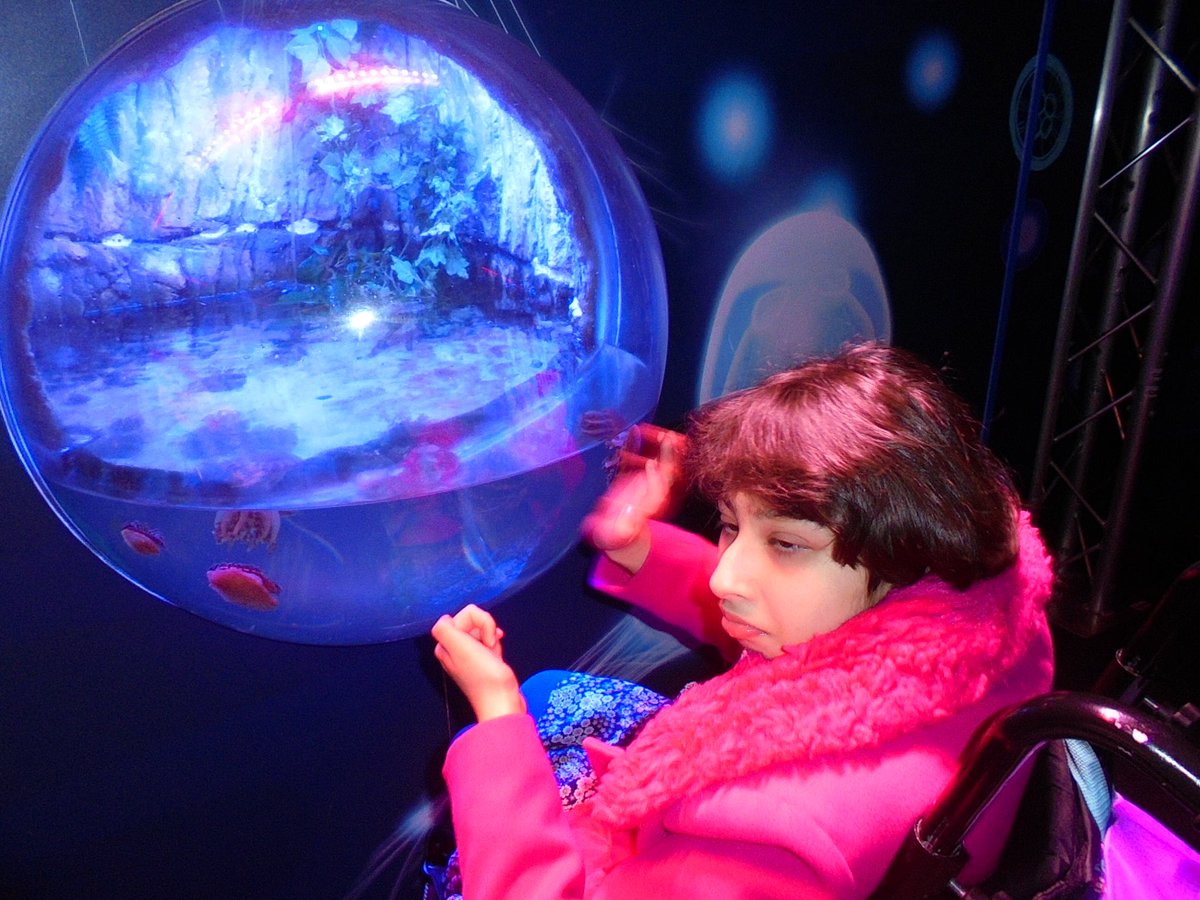 IvyHouseSchool's tweet photo. Kedleston Class had a brilliant day exploring @sealifebham as part of their 'Barry the fish with fingers'’ topic. They saw lots of fish, sharks and even a giant sea turtle - but no fish with fingers 😂🖐🐠🐟🐙🐬 #outdoors #learning #exploring https://t.co/19Cms2eeaf