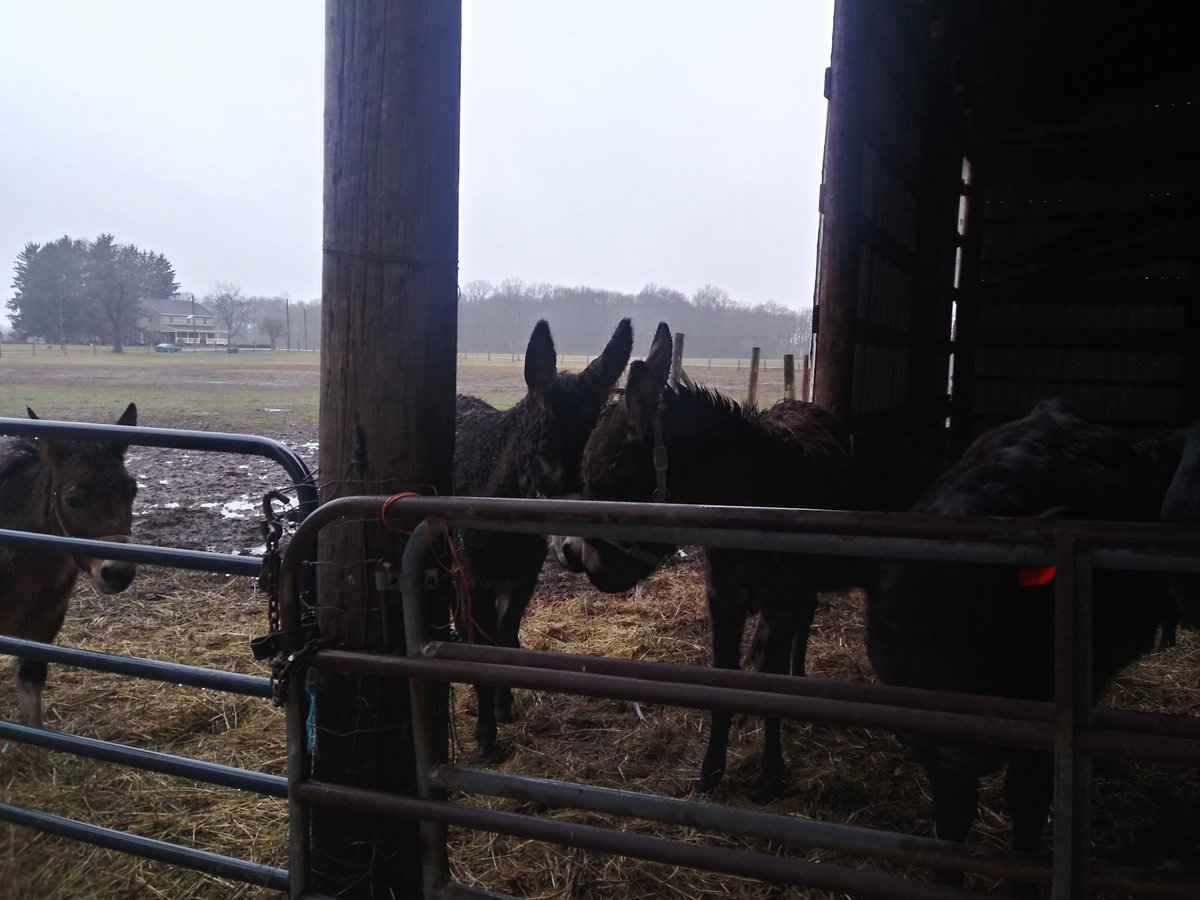 Abbie Smith tweet media