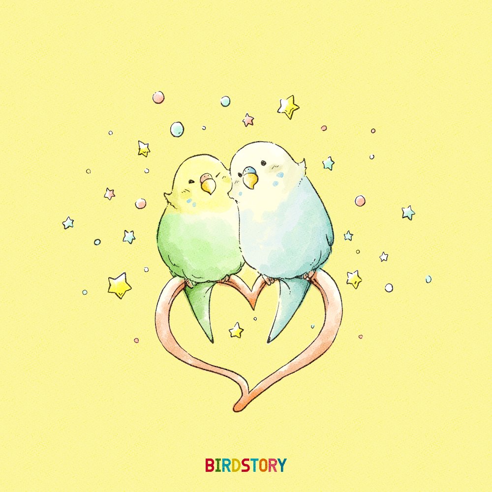 Twitter 上的 Birdstory おはようございます 本日は2月14日 バレンタインデーとの事です 素敵な1日を Birdstory バレンタイン セキセイインコ T Co 1qq9oqaxap Twitter