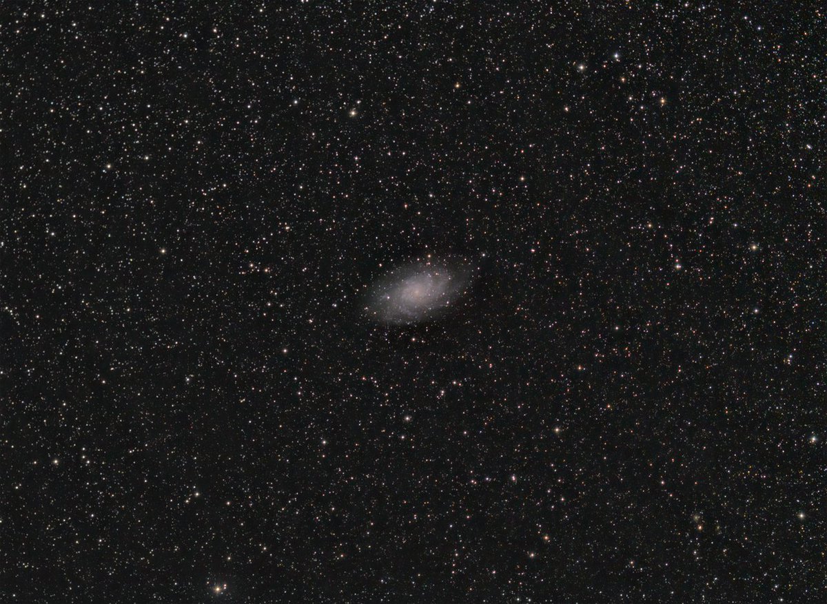 KeefBram's tweet photo. Managed to squeeze in 1 hour tonight between the clouds. This is M33 The Triangulum Galaxy. 1H RGB with #ZWO #294MCPro and #Samyang #135mm at F2.4 and 1H Lum on #Atik #383L with a Samyang 135mm at F2.4. #astro #Astrophotography #galaxy #widefield https://t.co/nH3XzbB0pG