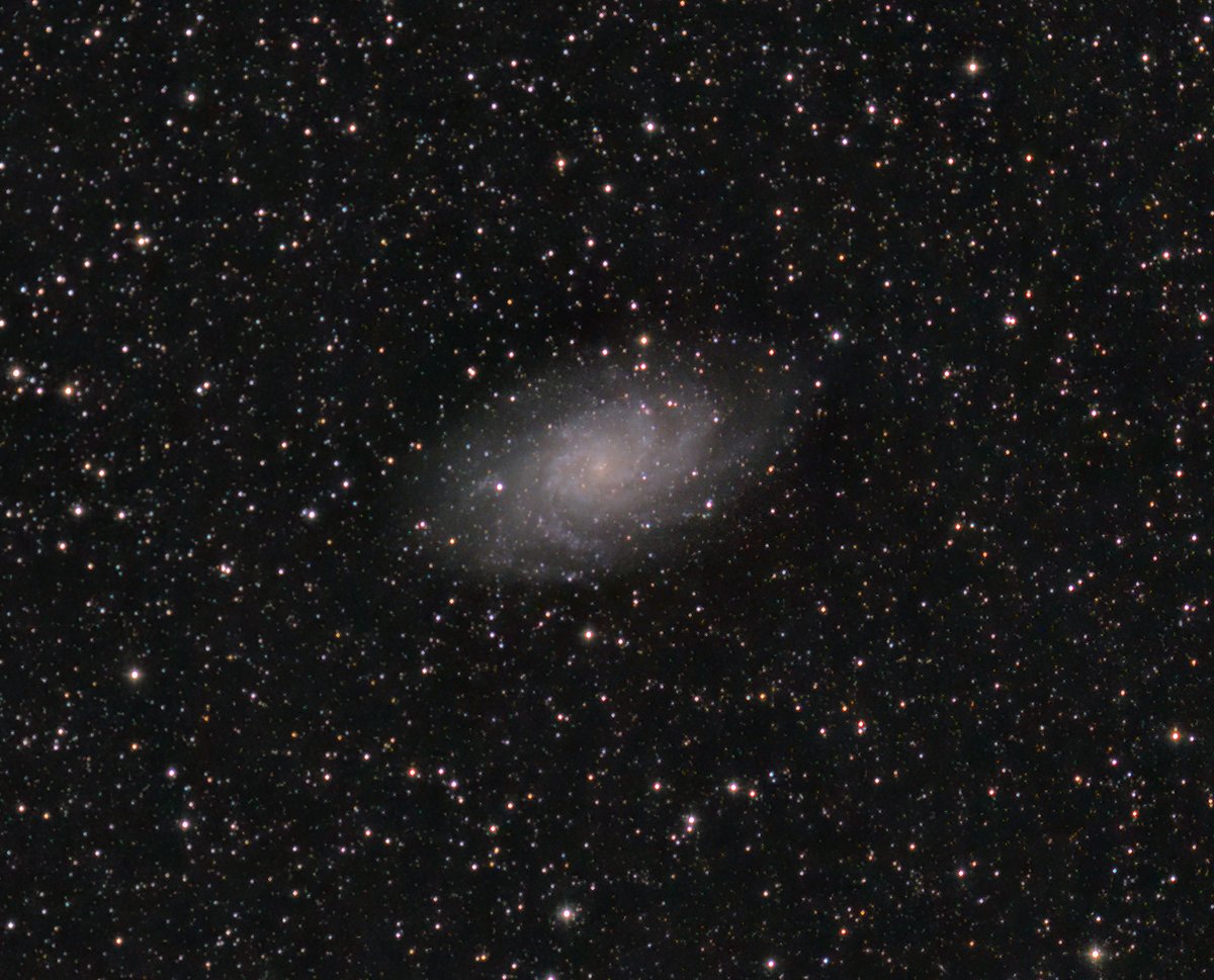 KeefBram's tweet photo. Managed to squeeze in 1 hour tonight between the clouds. This is M33 The Triangulum Galaxy. 1H RGB with #ZWO #294MCPro and #Samyang #135mm at F2.4 and 1H Lum on #Atik #383L with a Samyang 135mm at F2.4. #astro #Astrophotography #galaxy #widefield https://t.co/nH3XzbB0pG